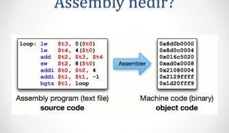 Assembly nedir