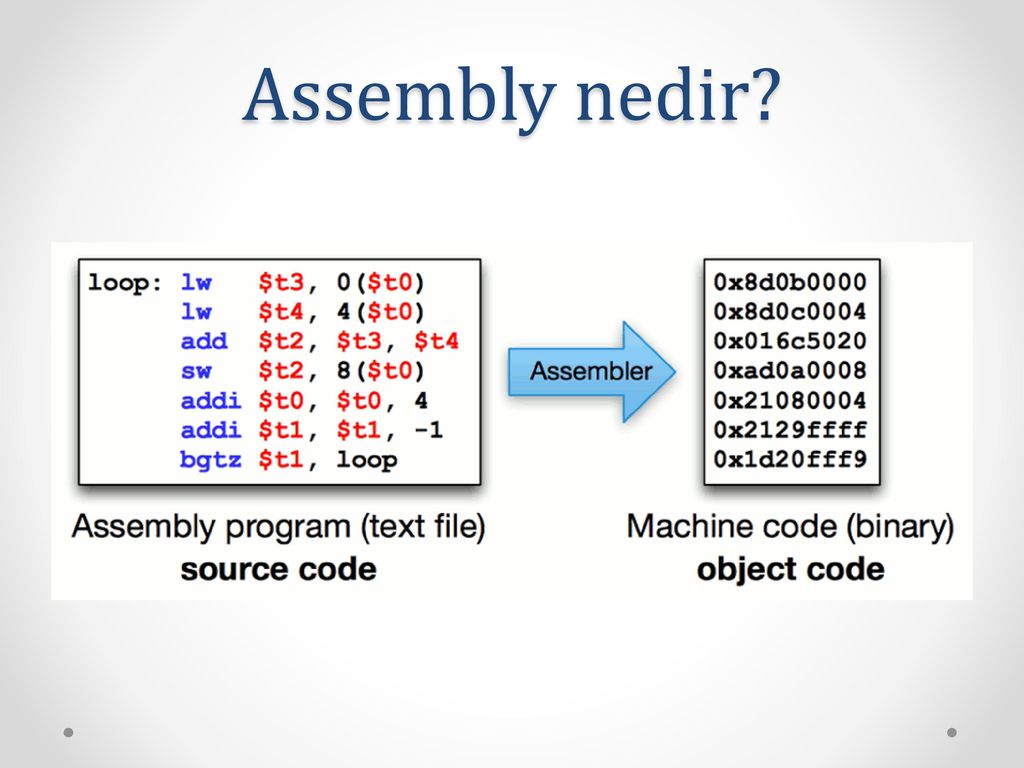 Assembly nedir