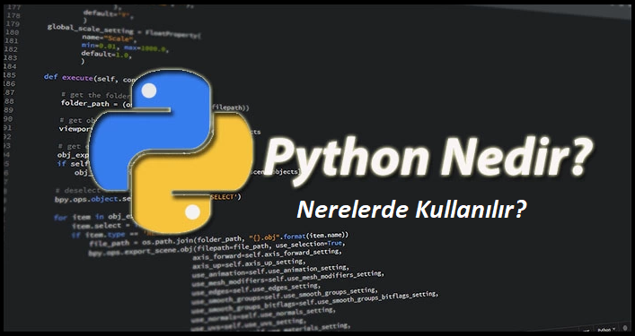 Python Nedir ?