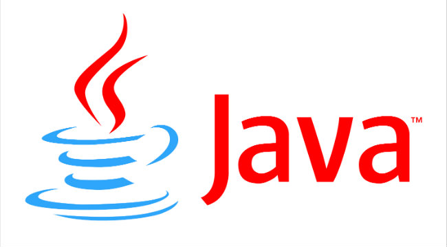 Java Nedir ?